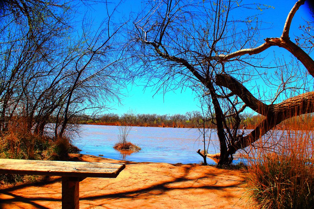 Paseo del Bosque Trail 58 Photos & 21 Reviews Hiking Along The