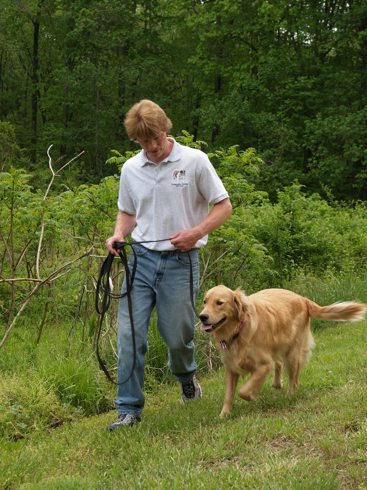 Campbell's Canine Camp