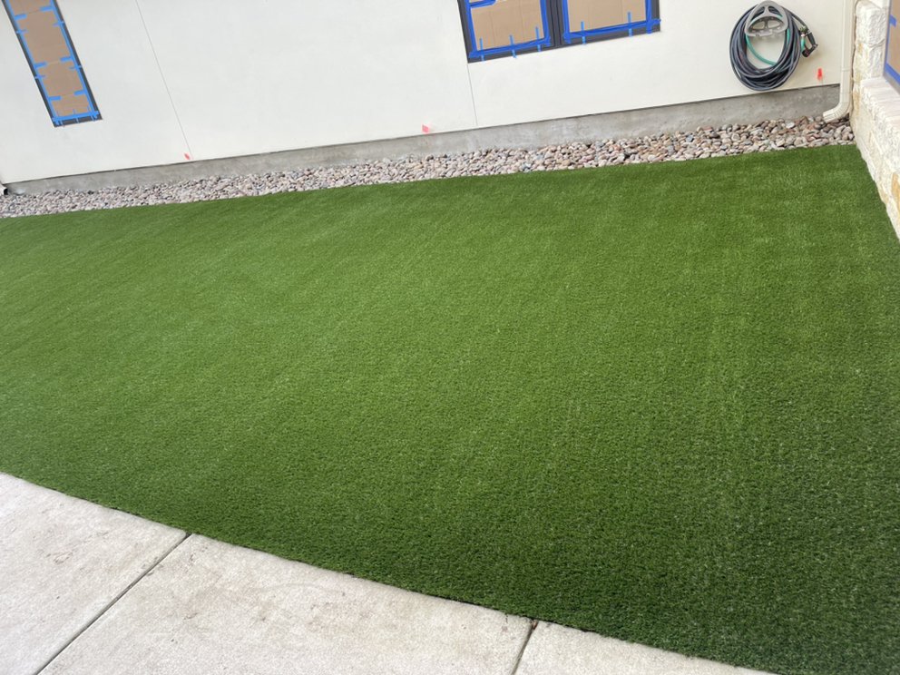Blue Bonnet Turf