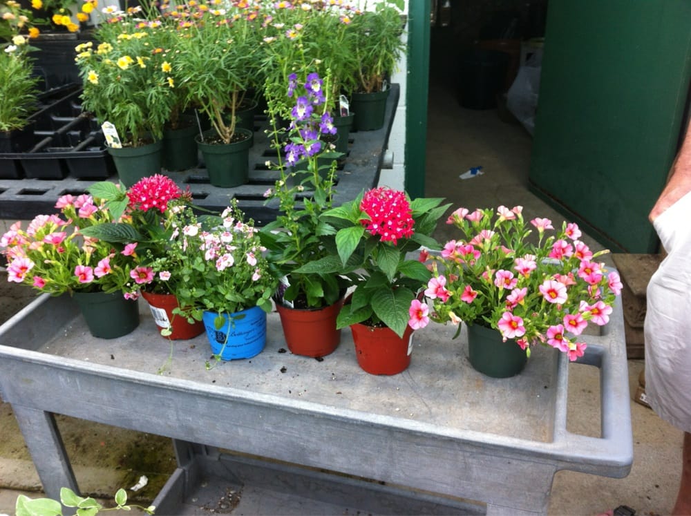 Jackson Florist, Inc. Florists 3124 Madison Ave, Covington, KY