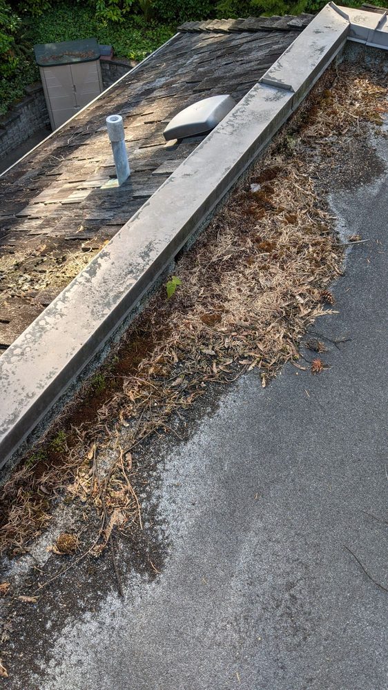 Aqua Gutter Cleaning And Repairs