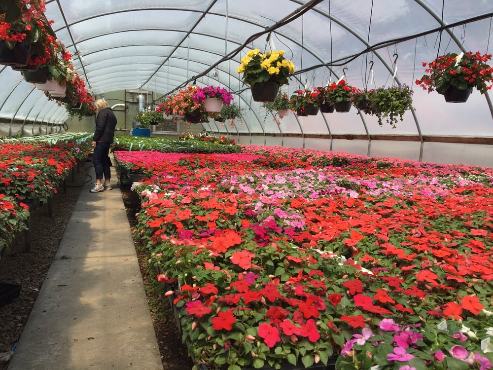 Bayside Garden Center 13 Photos Nurseries & Gardening 400 E Brown