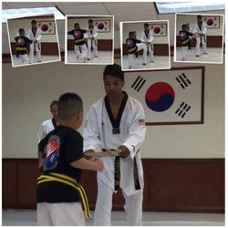 High performance taekwondo bayside