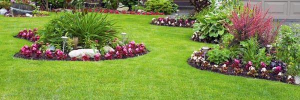 Hernandez Brothers Professional Landscape - Tree Services - Rockford Photo of Hernandez Brothers Professional Landscape - Rockford, IL, United States - Hernandez Brothers Professional Landscape - Tree Services - Rockford