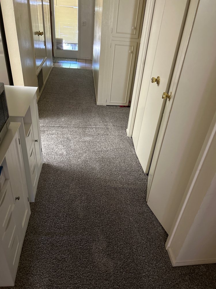 Delta Steam Carpet & Upholstery Cleaning
