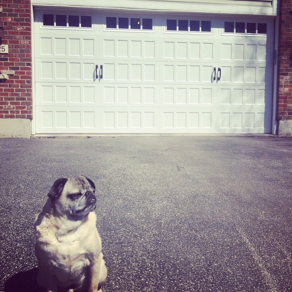 Warren Garage Door Yorkville Il Designs Door Pro America 11 Reviews Garage Services 4322 Warren