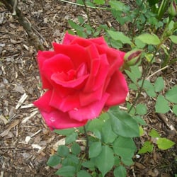 Gartencenter Iserlohn