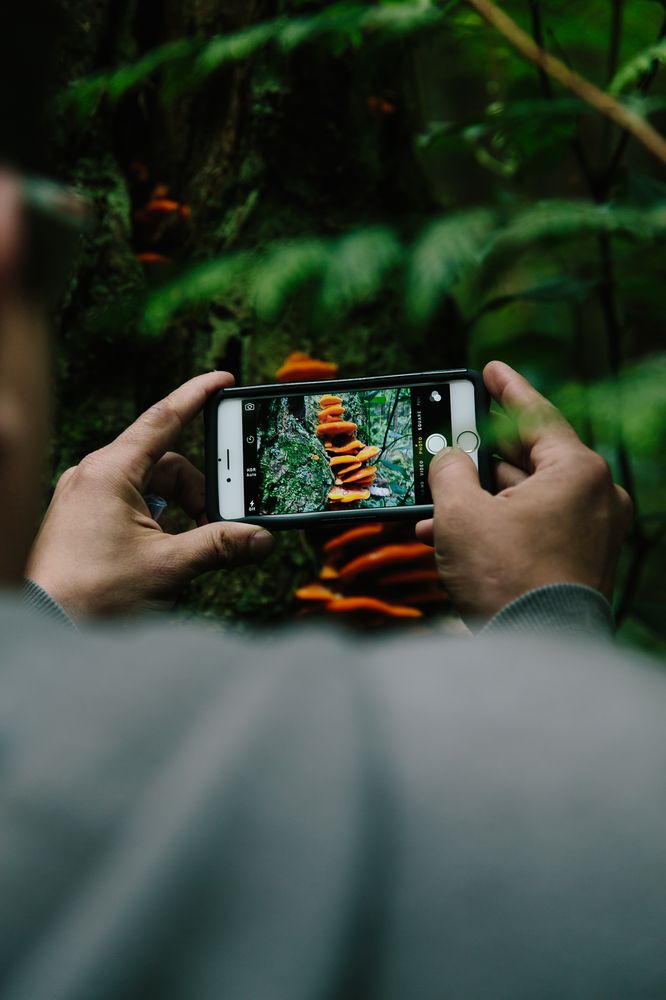 Swallow Tail Culinary Tours