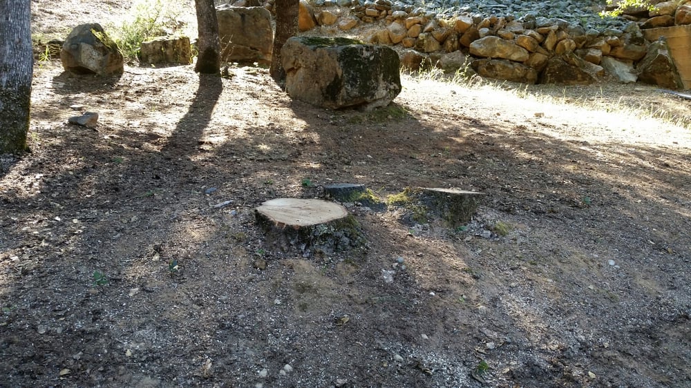 image of business Ironwood Tree Service