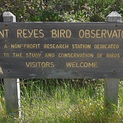 point reyes bird observatory 14 photos observatories point reyes bird observatory 14 photos observatories