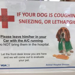 vca winchester animal hospital