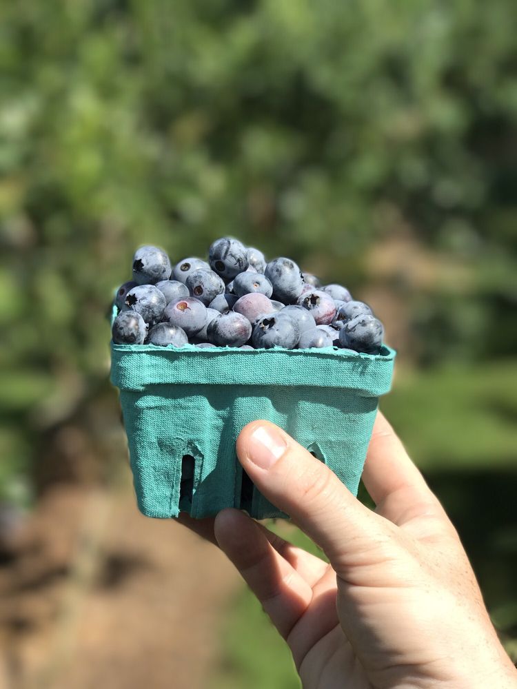 Honey Pot Hill Orchards 376 Photos & 282 Reviews Fruits & Veggies