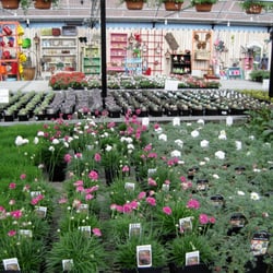 Vicki S Garden Center Nurseries Gardening 2100 Inland Photo Of Vicki S Garden Center Spokane Wa United States