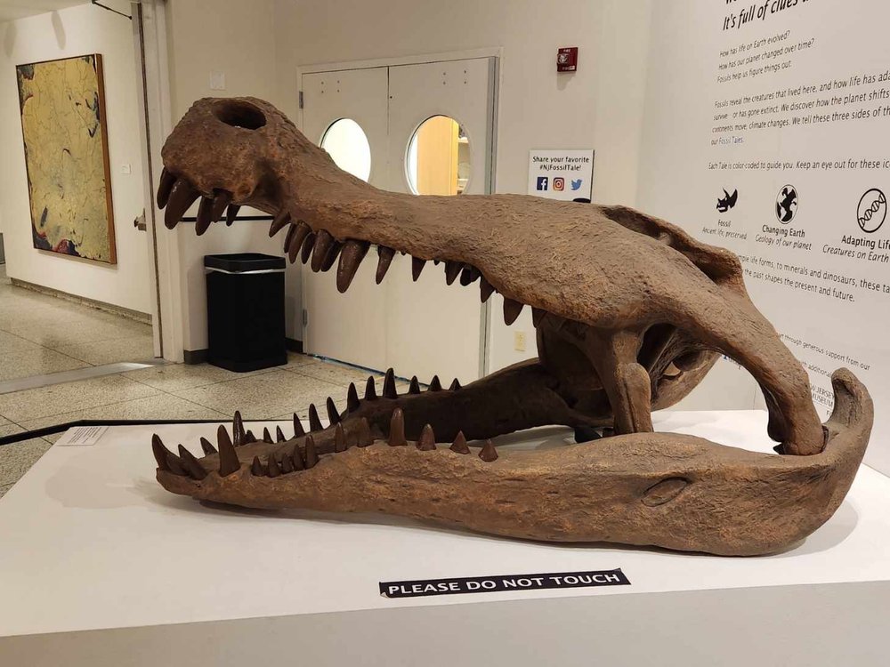 New Jersey State Museum