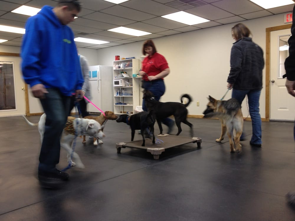 Willow Creek Kennels Pet Boarding/Pet Sitting Amarillo, TX Yelp