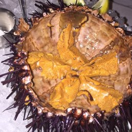 Foto zu Petit Marlowe - San Francisco, CA, Vereinigte Staaten. Fresh live sea urchin!