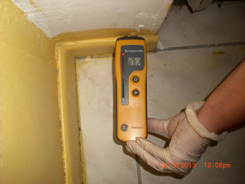 On-Site Mold Analysis