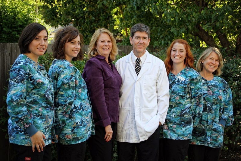 image of business Michael N Hillstead, DDS