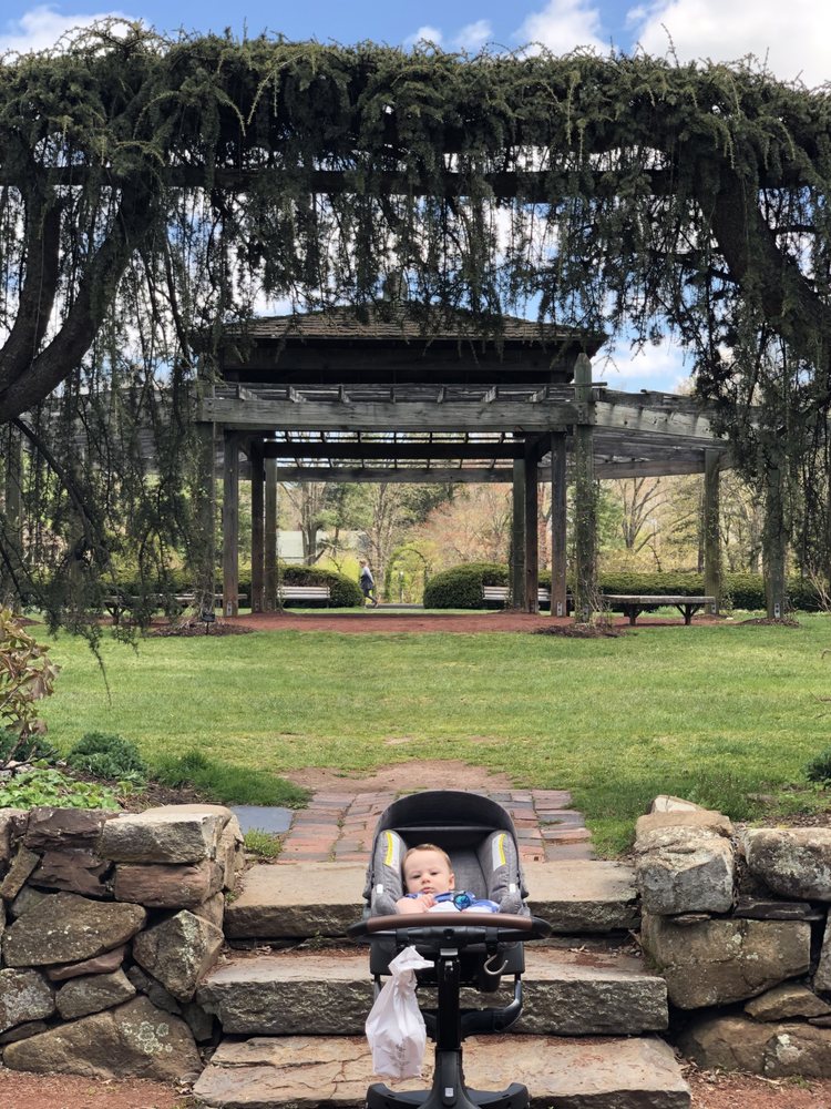 Michael Kahn - Pineywoods Realty