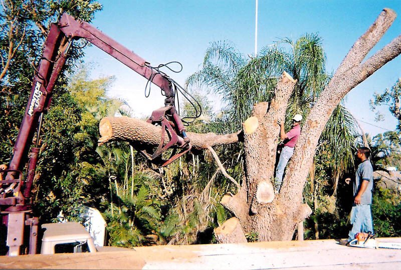 Tim's Tree Service