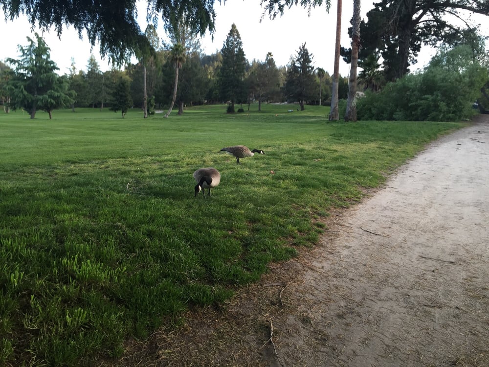 Valley Gardens Golf Course 18 Reviews Golf 263 Mount Hermon Rd 