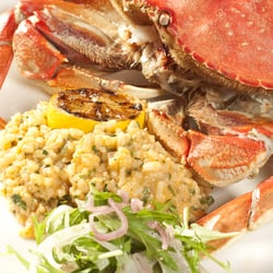 Cutters Crabhouse photo