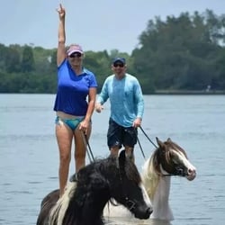 Horseback Riding St Pete Beach The Best Beaches In World Beach Horseback Rides Riding Interstate 275 St Petersburg Excursion