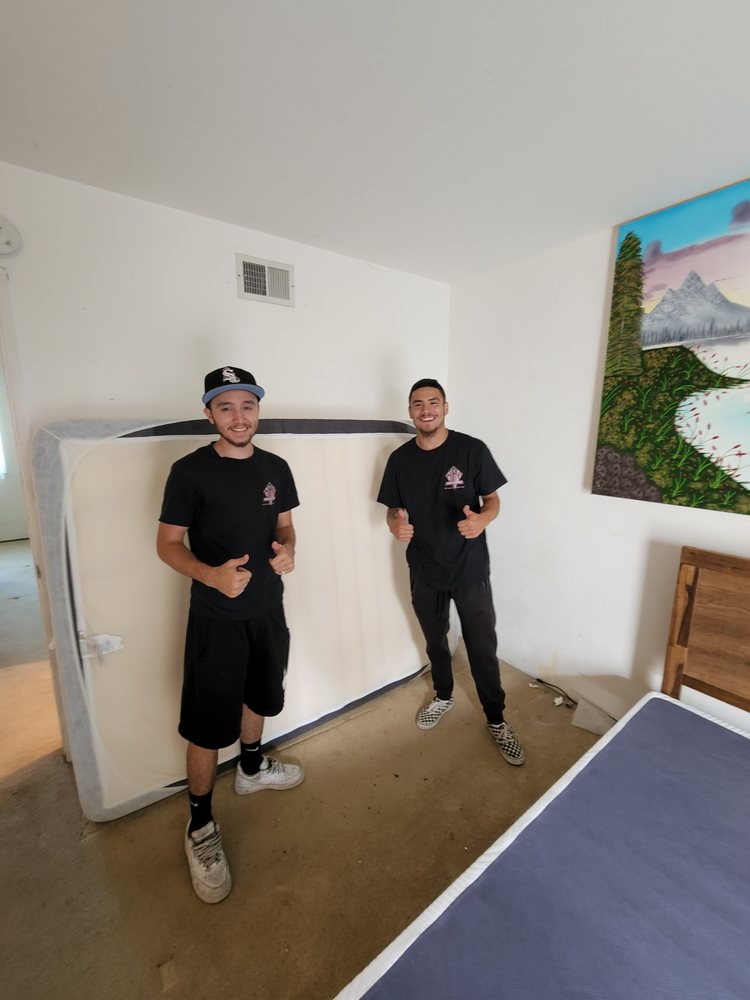 Hassle Free Movers