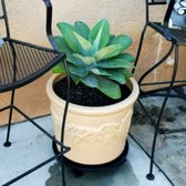 Aki Nursery 191 Photos 70 Reviews Nurseries