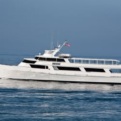 Icon Newport Beach The Best Beaches In World Charter Yachts Of Newport Beach 214 Photos 141 Reviews Boat