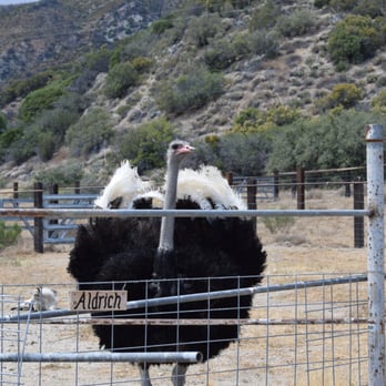 Quail Run Ranch - 81 Photos & 25 Reviews - Tours - 44380 Shaffer Rd