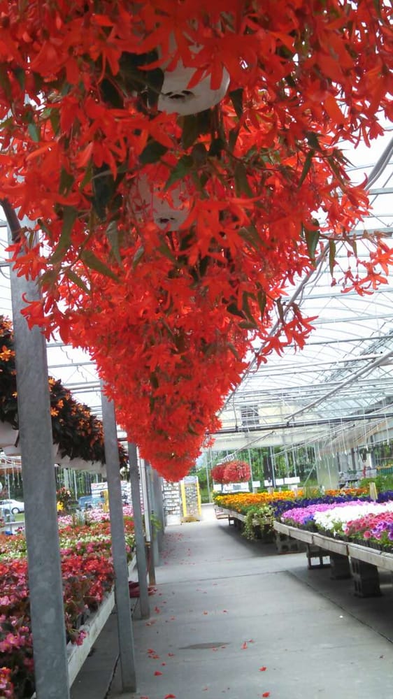 Wojo’s Greenhouse Nurseries & Gardening 2570 Oakwood Rd, Ortonville