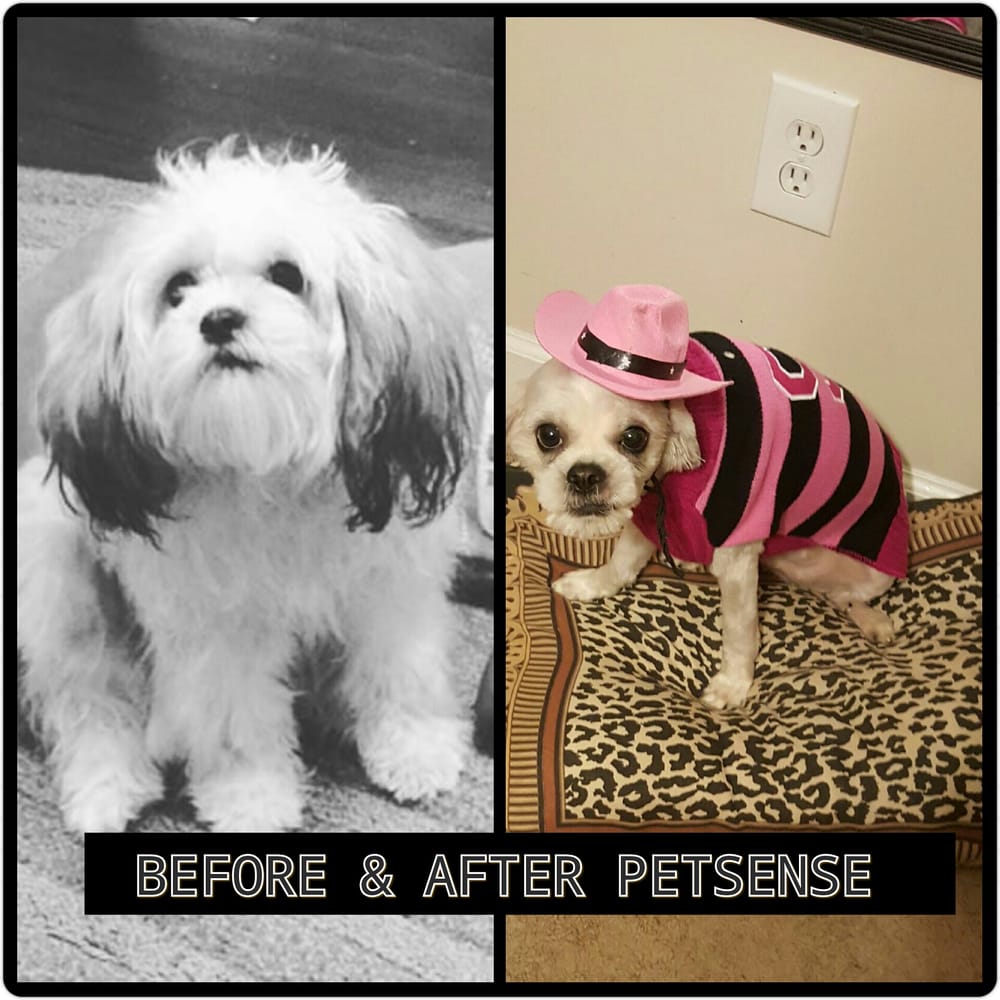 Petsense Pet Groomers 3119 Highway 278, N.E., Covington, GA Phone