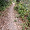 Skyline Trail gift card