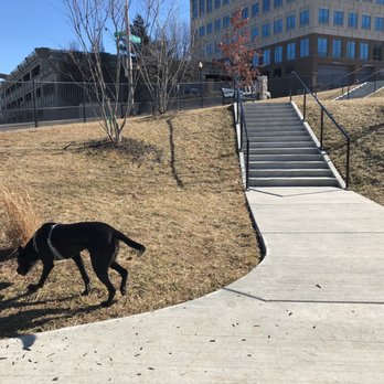 Off Leash Dog Park Kansas City Mo Off Leash Dog Park Kansas City Mo