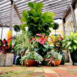 The Green Gate Nurseries Gardening 990 S Highway 123 Byp Photo Of The Green Gate Seguin Tx United States
