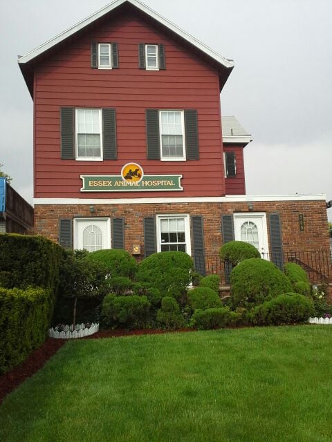 Essex Animal Hospital 709 Bloomfield Ave Bloomfield Nj 07003