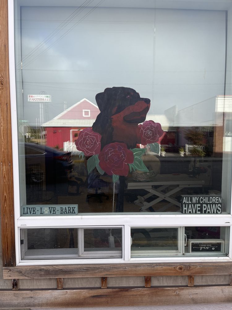 Barks N Bubbles Dog Grooming