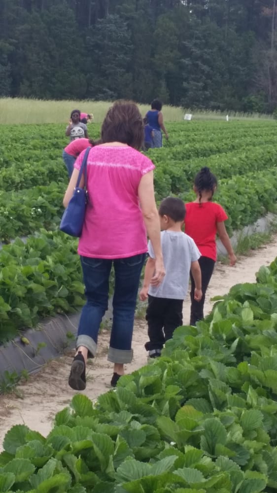 Gillis Hill Farm 19 Photos & 16 Reviews Farms 2701 Gillis Hill Rd, Fayetteville, NC