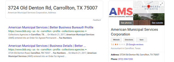 American Municipal Service