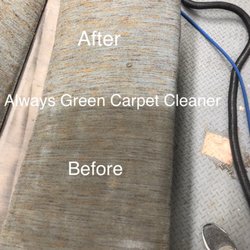 Always Green Carpet Cleaner 95 Photos 37 Reviews Photo Of Always Green Carpet Cleaner Brooklyn Ny United States Upholstery Cleaning
