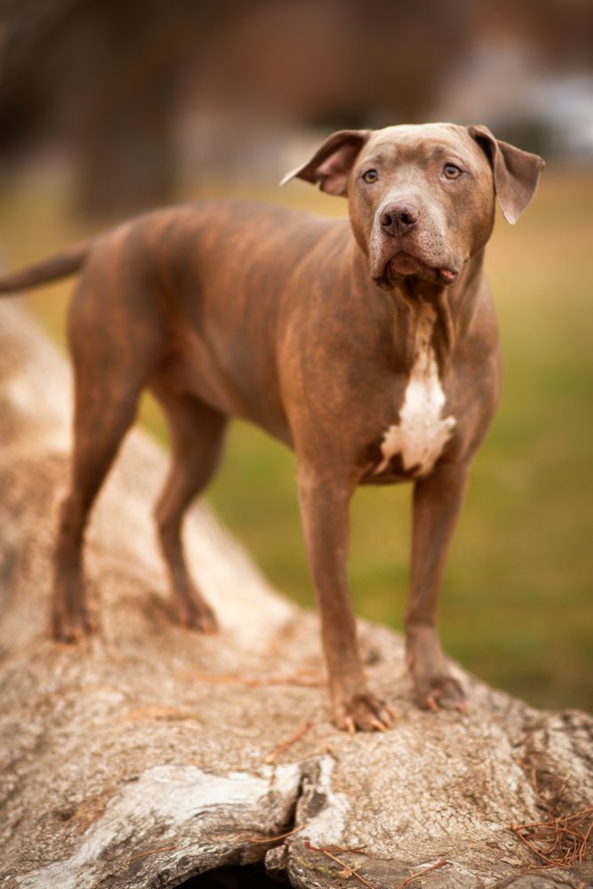 Veronica Frost Photography