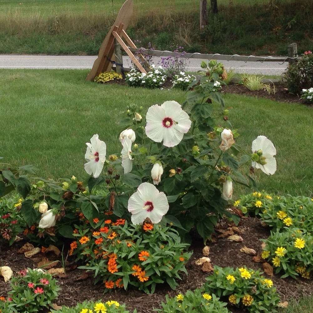 Brown’s Orchards Farm Market 36 Photos & 50 Reviews Bakeries 8892