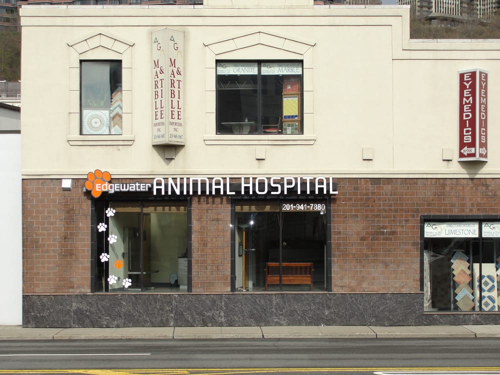 Edgewater Animal Hospital 25 Photos & 50 Reviews Veterinarians
