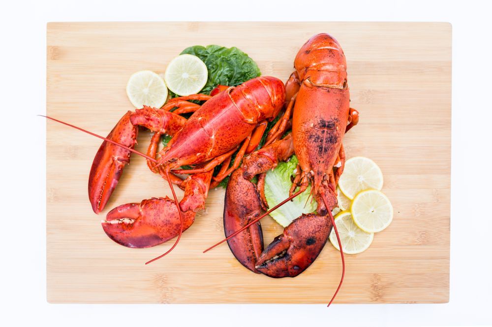 Philly Lobster Gourmet Foods