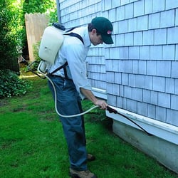 Sunrise Pest Management 11 Reviews Control 3411 11th St Photo Of Sunrise Pest Management Bremerton Wa United States