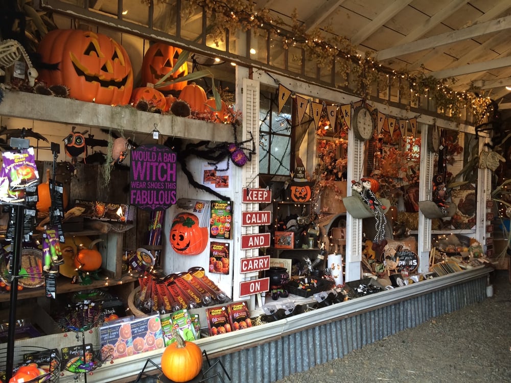 Northern Lights Christmas Tree Farm 21 Photos & 12 Reviews Christmas Trees 36777 Wheeler