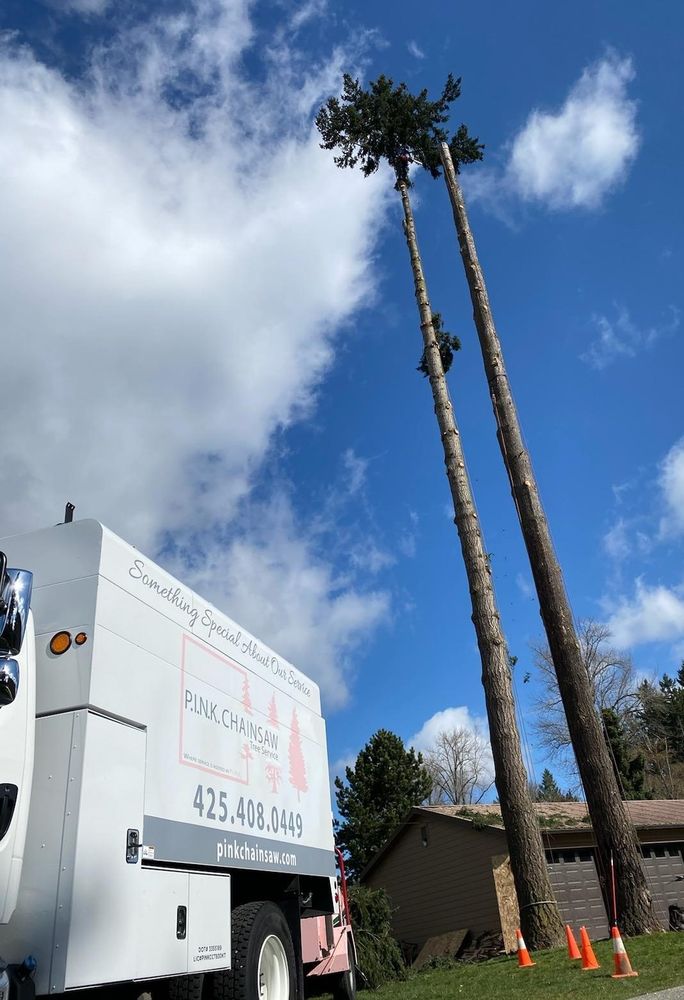 Pink Chainsaw Tree Service