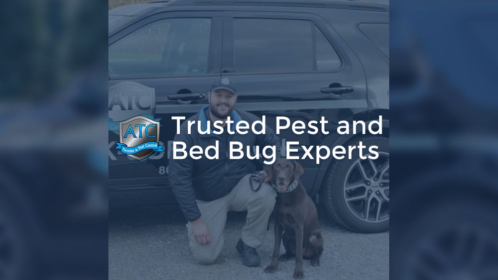 Advanced Termite Control