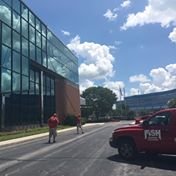 Fish Window Cleaning